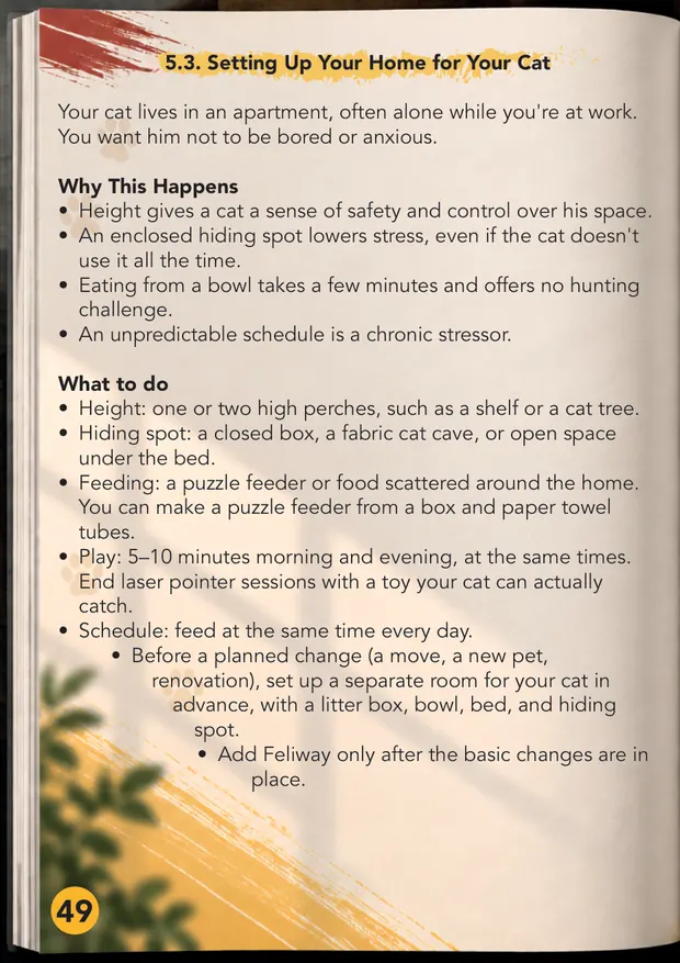 Sample page: setting up your home for your cat